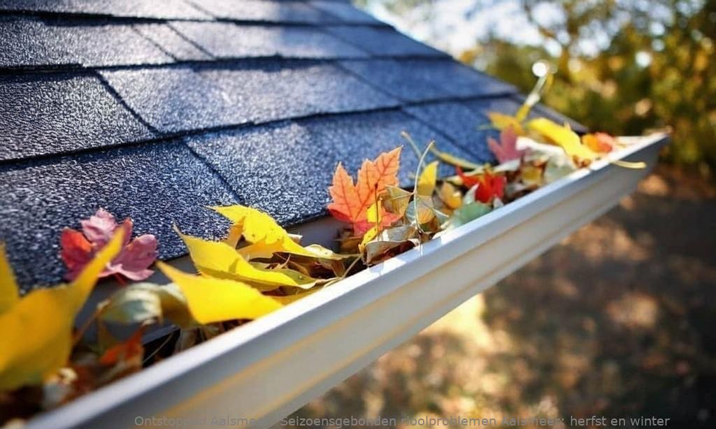 Seizoensgebonden rioolproblemen Aalsmeer: herfst en winter