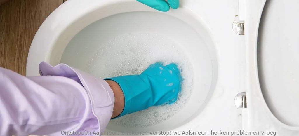 6 tekenen verstopt wc Aalsmeer: herken problemen vroeg